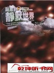 昆恩的静默世界