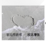 被玷污的书